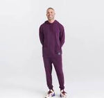 SAXX 3SIX FIVE HOODIE - PLUM