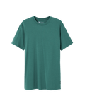 SAXX DROPTEMP COTTON TEE - PINE